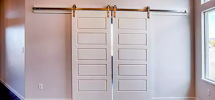 Glass Barn Door with Installation Hardware Kit Beckley